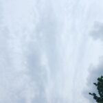 Mohsen Kiaei Instagram - نبودی و نشنیدی....