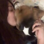 Monali Thakur Instagram - 9th September 2023, my soulmate, my protector, my Guardian Angel, my Daichi left his body and took his last breath. I had been escaping acknowledging this reality for sometime now.. but here I am.. Coping with his absence is not something I know how to do. I thought I knew grief.. I thought I am a strong mind to know how to push and force my heart to deal with grief of losing loved ones courageously.. but I feel lost without my boy..💔I don’t know how to be.. People often say to me that they feel like a child with or around me.. that they feel innocence and kindness in me, feel happiness even though they don’t know me.. its because I followed my Daichi and learnt from him how to be.. how to love, how to distinguish between goodness and evil, and how to be kind truly. I had been blessed to have my Daichi being the Protector of my Soul.. keeping it safe from all the toxicity that humans threw.. he never allowed all the that to turn into negativity in me.. always showed me Light amongst all the darkness through Love.. true, beautiful and mighty Love, Compassion, Empathy and Kindness!!❤️ Today if I am alive, it is for my Daichi.. those very few who truly know me.. know that.. Thank you for giving me this life Daichi.. I will continue to spread love like you did and spread happiness and kindness like you did.. we’ll meet again my baby.. ❤️🌸🤍 take care..❤️..