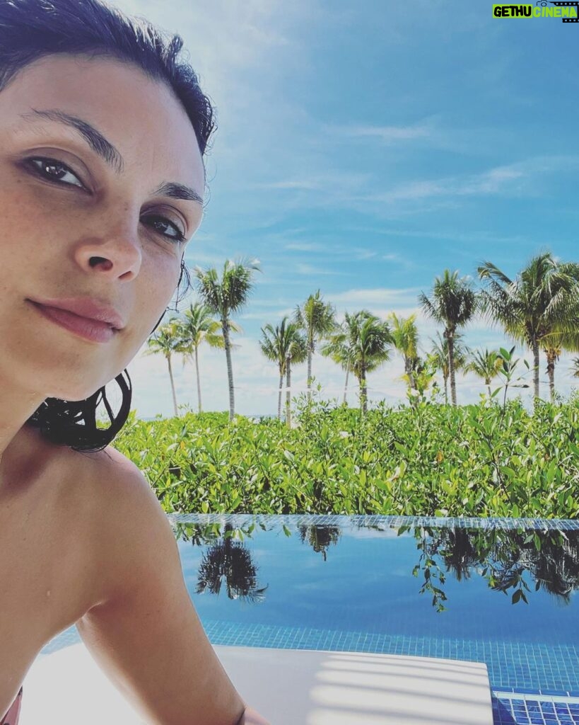 Morena Baccarin Instagram - Thank you @stregiskanairesort for the amazing stay. The only I didn’t like was leaving. The St. Regis Kanai Resort, Riviera Maya