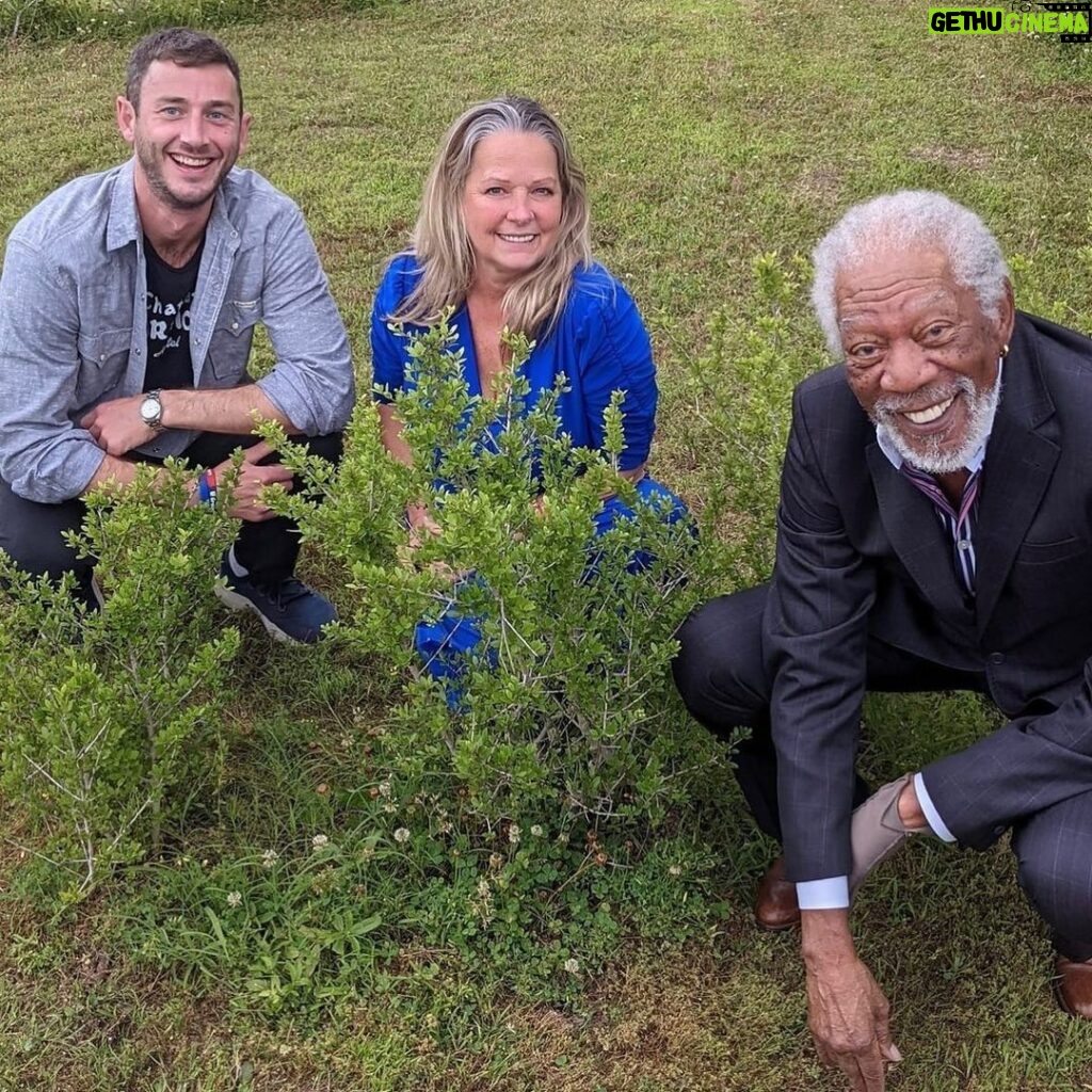 Morgan Freeman Instagram - I'm proud of my Yaupon tea brand, Yazoo Yaupon, which is building a brighter future for the Mississippi Delta and its people. Want to try my American-grown tea from Mississippi? Visit http://www.YazooYaupon.com and use promo code MORGANSTEA for 10% OFF your order! #AmericasFirstCup