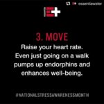 Morris Chestnut Instagram - Life happens and stress can be a part of that from time to time. My friends over at @essentiawater have a few ways to help lighten the load and get you back on track. 🙏🏾💪🏾✨ We get it, stress happens. But there are little things you can do every day to help lower your stress level, from taking a quick shower or going on a walk, to staying hydrated with #OverachievingH2O 💧 Tap link in bio at @essentiawater for "15 Ways to De-Stress".