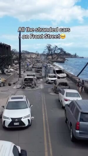 Morris Chestnut Instagram - Reality Check: 
Tragic times like these remind you how important it is to be grateful for what you DO have, rather than focusing on what you don’t. Sincerest condolences to those who have lost loved ones and prayers for strength, for those who are working through this. 

Currently there are 67 reported casualties.
Many people who escaped report much more, in the hundreds
Many were trapped in
their cars
~ Video from Leomana Turalde on
Instagram #lahainafire #lahaina #prayformaui #fyp #hawaiifire #foryou #lahainahawaii #lahainamaui #frontstreet #fire #news #viral #mauifire #hawaii #maui #rescue #reels