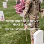 Morris Chestnut Instagram - All gave some, some gave all. Honoring those who made the ultimate sacrifice. 🙏🏾🤍🕊️ #MemorialDay