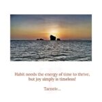 Mugdha Godse Instagram - ‘Timeless Joy’ ✨ In the Master’s words ✨ @belly_group 🙏🏽🙏🏽🙏🏽 PC @jjvalaya_the.other.side #bellymeditation #bellygroup #bellymaster #tarneivji #belly #bliss #gratitude #grateful #forever #guru #guide #love #joy #peace #affirm #divine #mantra #chanting #pilgrimage #silence #myguru #alwaysthereforyou #blessings #poetry #words #magical #miraculous #profound #practice