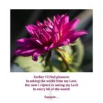 Mugdha Godse Instagram - Tarneiv Ji’s poetry... ❤️🌺🙏🏽 PC @hemantjkhendilwal To learn about transforming practices and teachings of my Master ‘Tarneiv’ Ji… 🙏🏽🙏🏽🙏🏽 Follow @belly_group #bellygroup #tarneivji #bellymaster #bellymeditation #meditation #meditationpractice #meditate #meditatedaily #pause #pauseandreflect #gratitude #gratitudeattitude #grateful #gratefulheart #joy #peace #happiness #happinessquotes #quotes #positivevibes #positivity #positivemindset #positivequotes #positivityquotes #Guru #Lord #prayer #guide #teacher