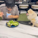 Nachat Juntapun Instagram - ชอบกินของหวาน ไม่ชอบกินผัก