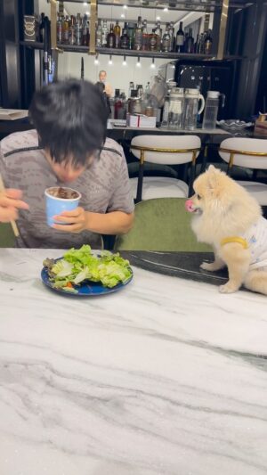 Nachat Juntapun Instagram - ชอบกินของหวาน ไม่ชอบกินผัก