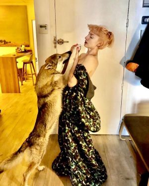 Najwa Nimri Instagram - @kenzo ❣️❣️❣️❣️❣️🙏🏿🙏🏿 @felipeoliveirabaptista #beeatiger
#mrkenzotakada 🖤