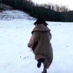 Nanase Nishino Instagram - 秋田県で撮影しました⭐️🐕 「ヤングジャンプ」 発売中です。 秋田へ行くのは2回目ですが 男鹿や角館、田沢湖、秋田犬も見ることができたのは今回が初めてで、また秋田の魅力を知れたような気がします✨自然のエネルギーもたくさんもらえました！ サクサクな雪もありました。楽しかった〜🏃‍♂️🏃‍♂️ #秋田