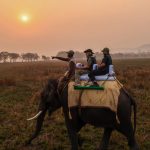 Narendra Modi Instagram – Splendid Kaziranga! #IncredibleIndia