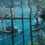 Nasty C Instagram - So apparently a lot of people think this scene from “Endless” was CGI & that I wasn’t really in the ocean WITH SHARKS! I can’t assure you it’s all 1000000% !! Go have a look on YouTube