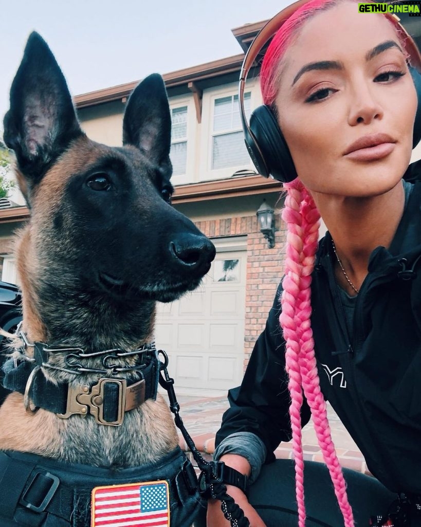 Natalie Eva Marie Instagram - This mornings run 🏃🏻‍♀️ with my tried and true 🇺🇸 🐺 LAST pic is my favorite 🤣 - Let’s Go Get Some! - WWW.𝐍𝐚𝐭𝐚𝐥𝐢𝐞𝐄𝐯𝐚𝐌𝐚𝐫𝐢𝐞.𝐜𝐨𝐦 🩷Outfit/shoes/Sunnies : @tyrsport 📦 For Free Shipping Use My Code : NEMFGS #NEMFIT #HealthIsWealth #NEMRecovery #FullBodyWorkout #HealthyLifestyle #FitnessMotivation #BangBang #ninerGang