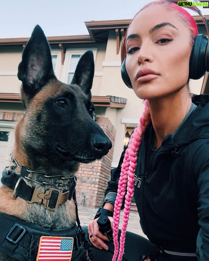 Natalie Eva Marie Instagram - This mornings run 🏃🏻‍♀️ with my tried and true 🇺🇸 🐺 LAST pic is my favorite 🤣 - Let’s Go Get Some! - WWW.𝐍𝐚𝐭𝐚𝐥𝐢𝐞𝐄𝐯𝐚𝐌𝐚𝐫𝐢𝐞.𝐜𝐨𝐦 🩷Outfit/shoes/Sunnies : @tyrsport 📦 For Free Shipping Use My Code : NEMFGS #NEMFIT #HealthIsWealth #NEMRecovery #FullBodyWorkout #HealthyLifestyle #FitnessMotivation #BangBang #ninerGang