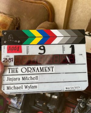 Nathalie Boltt Instagram - You know a project has gone well when I’ve ended up crying on the floor. Massive congrats to @theornamentfilm team for getting this package wrapped and ribboned in record time. Now off to the festival circuit fingers crossed 🤞🏽 @jinjara @thejordanconnor @kentdonguines - can’t wait to see this gem! 🎥 ❤️ 🎭
