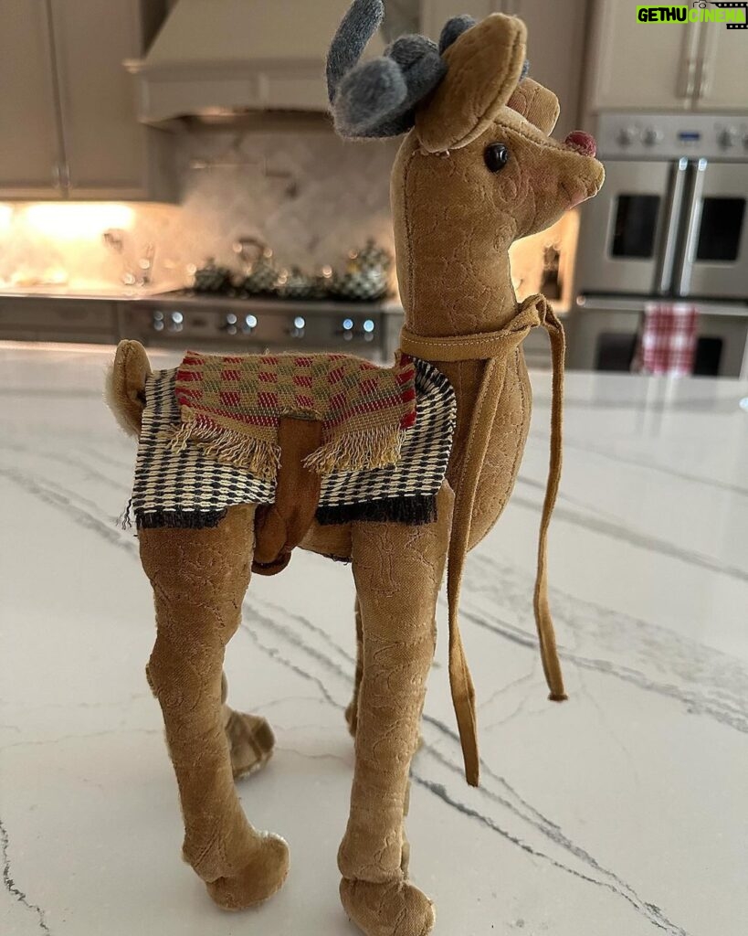 Nattie Katherine Neidhart-Wilson Instagram - One of my favorite holiday gifts I’ve been given is a hand-sewn reindeer, we named Rudy, made by my mom. She created him entirely with her imagination. She drew up a pattern and sewed him by hand. I love how she put makeup on his face. The antlers are made out of an old cashmere sweater that my grandfather Stu used to wear around the Hart House. My mom repurposed the sweater and put it into her art. It just makes it that much more meaningful. ❤️🎄 @ellie_neidhart