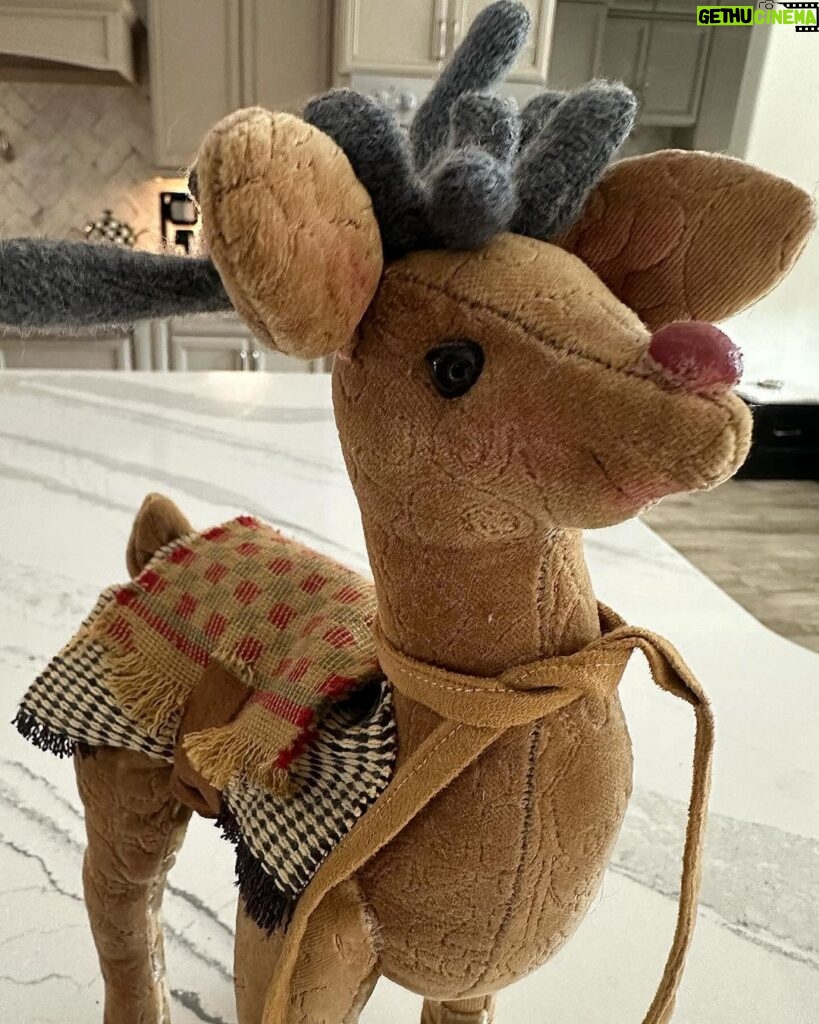 Nattie Katherine Neidhart-Wilson Instagram - One of my favorite holiday gifts I’ve been given is a hand-sewn reindeer, we named Rudy, made by my mom. She created him entirely with her imagination. She drew up a pattern and sewed him by hand. I love how she put makeup on his face. The antlers are made out of an old cashmere sweater that my grandfather Stu used to wear around the Hart House. My mom repurposed the sweater and put it into her art. It just makes it that much more meaningful. ❤️🎄 @ellie_neidhart