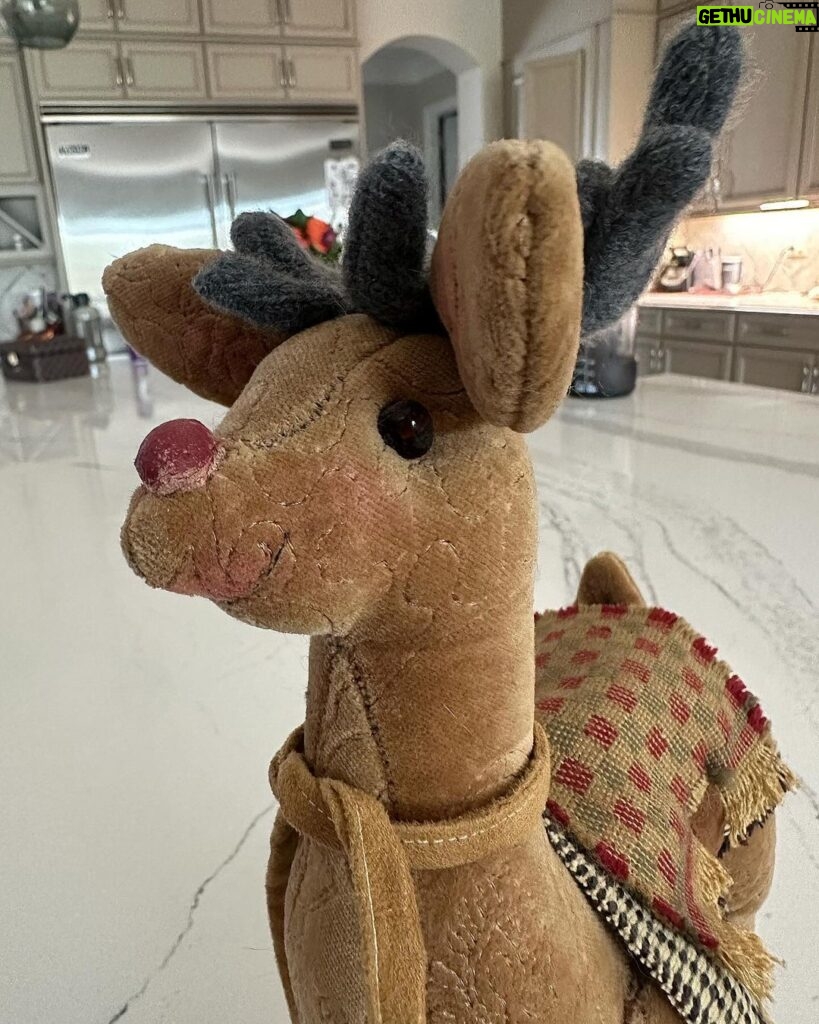 Nattie Katherine Neidhart-Wilson Instagram - One of my favorite holiday gifts I’ve been given is a hand-sewn reindeer, we named Rudy, made by my mom. She created him entirely with her imagination. She drew up a pattern and sewed him by hand. I love how she put makeup on his face. The antlers are made out of an old cashmere sweater that my grandfather Stu used to wear around the Hart House. My mom repurposed the sweater and put it into her art. It just makes it that much more meaningful. ❤️🎄 @ellie_neidhart