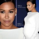Naya Rivera Instagram - #fbf to this time last year when I was pregnant with Josey at the White House correspondence dinner