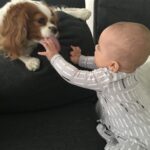 Naya Rivera Instagram - Happy #nationalpuppyday indeed!