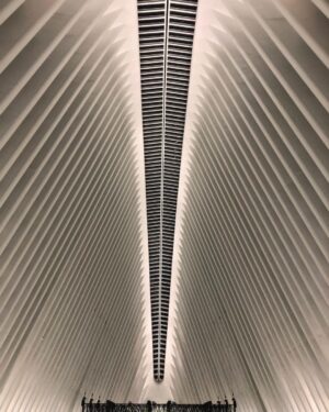 Neil deGrasse Tyson Instagram - If Biblical Jonah survived in the belly of a whale, having not been masticated, nor dissolved by gastric stomach acids, and if the Whale’s interior had no organs or flesh, and was well-lit from within, then one might imagine he saw something like this. [The Oculus Interior, World Trade Center.  September 2018]