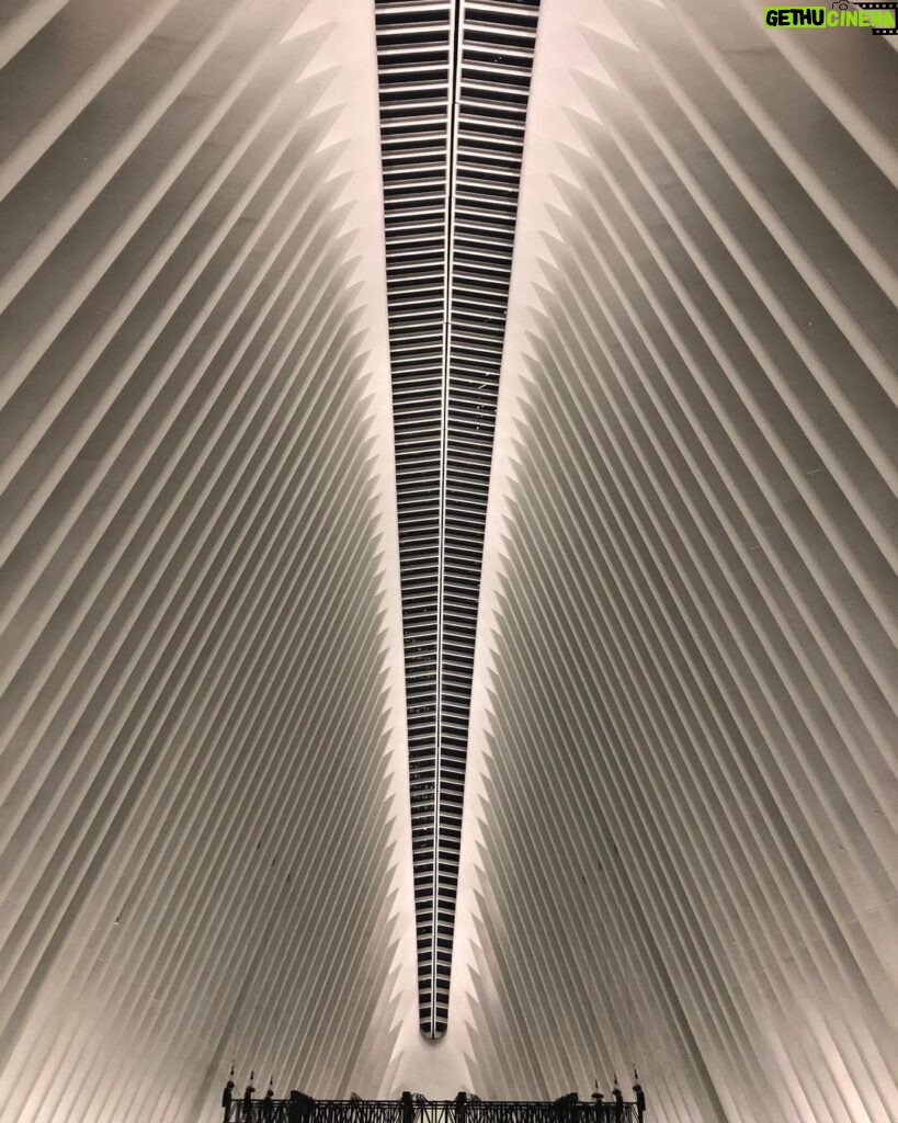 Neil deGrasse Tyson Instagram - If Biblical Jonah survived in the belly of a whale, having not been masticated, nor dissolved by gastric stomach acids, and if the Whale’s interior had no organs or flesh, and was well-lit from within, then one might imagine he saw something like this. [The Oculus Interior, World Trade Center. September 2018]