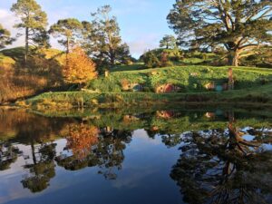 Neil deGrasse Tyson Instagram - A shout out to New Zealand, one of the most beautiful countries I’ve ever visited.  Perhaps the only location on Earth (Middle or otherwise) to locate the mythical Hobbiton, in the Shire.  A place of peace & tranquility, where having a “second breakfast” might be the most controversial decision a Hobbit makes in a day. (July 2017)