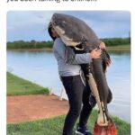 Nev Schulman Instagram - WE WANNA HELP! If you or someone you know might be getting catfished click here: @mtvcatfishcasting