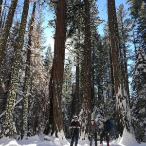 Nick Robinson Instagram - First trip to Yosemite, Dec 2018