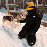 Nicky Romero Instagram - Magical Lapland 💫 This has to be one of the most beautiful holidays I have ever had, it’s truly a dream to walk around in a snowy nature, fresh air, a breathtaking scenery. Btw the husky doggies are taken great care of. Swipe for some magic moments Arctic Circle, Finland