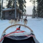 Nicky Romero Instagram - Magical Lapland 💫 This has to be one of the most beautiful holidays I have ever had, it’s truly a dream to walk around in a snowy nature, fresh air, a breathtaking scenery. Btw the husky doggies are taken great care of. Swipe for some magic moments Arctic Circle, Finland