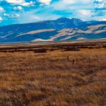 Nikki Sixx Instagram - Flat Creek on Tuesday….#Wyoming Jackson, Wyoming
