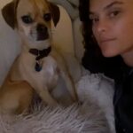 Nina Agdal Instagram - Her: “You’re barking up the wrong tree”
