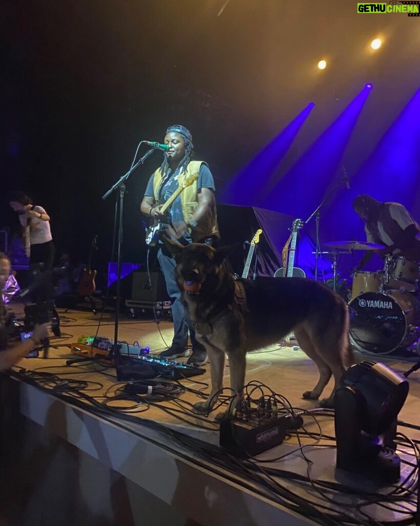 Noah Kahan Instagram - LA thank you for finally getting me to the Greek. And to the lovely lizzy for joining us. And a huge thank you to penny for surprising the crowd during joy oladokuns set lmaoo