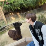 Noppanut Guntachai Instagram - 🦙🦙🦙🍦🍦🍦 Everland, Korea Theme Park