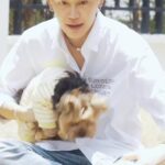 Noppanut Guntachai Instagram - เจ้าตัวแสบบ้านไหนเอนเนอจี้ล้นบ้าง🐶 บอกเลยว่าไจแอนท์พลังงานเต็มเปี่ยมสุดๆ เพราะบุ๋นให้ #เพดดิกรีเพาช์ วันละซอง สารอาหารครบถ้วน ช่วยให้ระบบภูมิคุ้มกันแข็งแรง ทำให้แอนท์ร่าเริงได้ตลอดเวลาเลย🤣 💛ไหนใครอยากได้แบบแอนท์ เค้ามีแจก Pedigree I Pouch You Gift Set ด้วยนะ ไปร่วมสนุกได้เลย ที่ FB : Pedigree Thailand สามารถหาซื้อได้ทาง : ร้านPetshop , ร้านค้าชั้นนำ ร้าน Pedigree & Whiskas ที่ shopee และ lazada #เพดดิกรีเพาช์ #เพดดิกรีไอเพาช์ยู #บอกรักเค้าด้วยเพดดิกรีเพาช์วันละซอง
