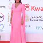 Nour Instagram – Walking on Pink Clouds 💖
From the opening ceremony of the 44th edition of Cairo International Film Festival ✨

Styled by: @yasmineeissa 
Dress: @alexperryofficial
Jewellery: @iramjewelry_
Makeup: @zeinabhassan_
Hair: @malaksamy_1 from @alsagheersalons