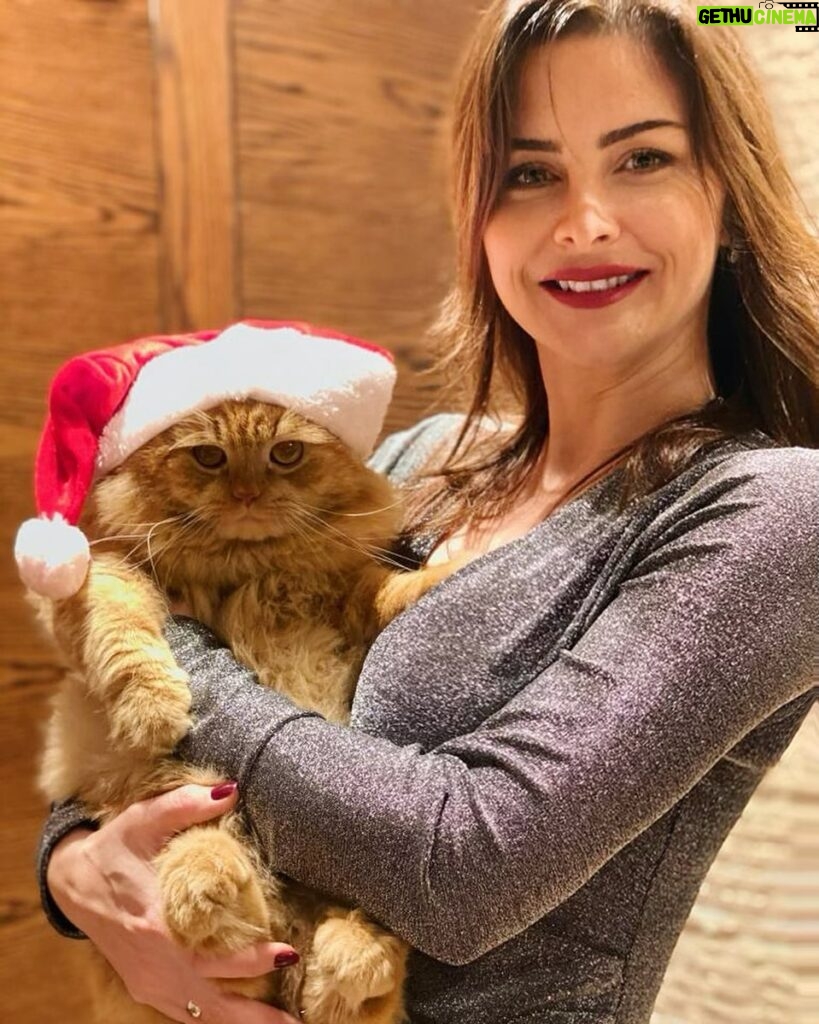 Nour Instagram - Merry Christmas from me and Caramel to you 🎄 I hope you all spend good time with your beloved ones, family, friends, or even alone ❤️ It was a difficult year for all of us, but we all made it through 🙏🏼 Joyeux Noël 🎁 #Christmas #ChristmasVibes