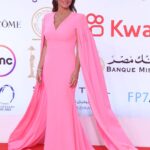 Nour Instagram - Walking on Pink Clouds 💖 From the opening ceremony of the 44th edition of Cairo International Film Festival ✨ Styled by: @yasmineeissa Dress: @alexperryofficial Jewellery: @iramjewelry_ Makeup: @zeinabhassan_ Hair: @malaksamy_1 from @alsagheersalons