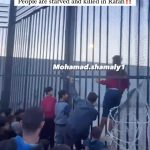 Nur Fazura Instagram - Young Palestinians try to infiltrate and storm the border with Egypt. People are starved and killed in Rafah ‼️‼️