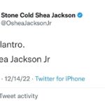O'Shea Jackson Jr. Instagram - Say it again.