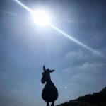 Onur Tuna Instagram - veda vakti eşek