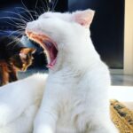 Onur Tuna Instagram - Seleksiyon