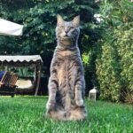 Onur Tuna Instagram - Evrimini yavaş yavaş tamamliyor