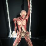 Onur Tuna Instagram - Body worlds