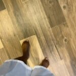 Ovie Soko Instagram - Some of the most random from this year. It by no means has been a perfect year, but I guess being able to find a way to smile and laugh is in a way living the dream. I promise I’m ok 😅😂🖤