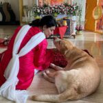 Pakhi Hegde Instagram - I love u my Leo, to the moon n back 🥰 #nowords I jus pray to god to give me u in every life❤️🥰 #leohegde #love #blessings to have u in our life 🥰 I have ur back, no matter what! Love u Leo! Happy 8 years of pure n selfless love ❤️ !