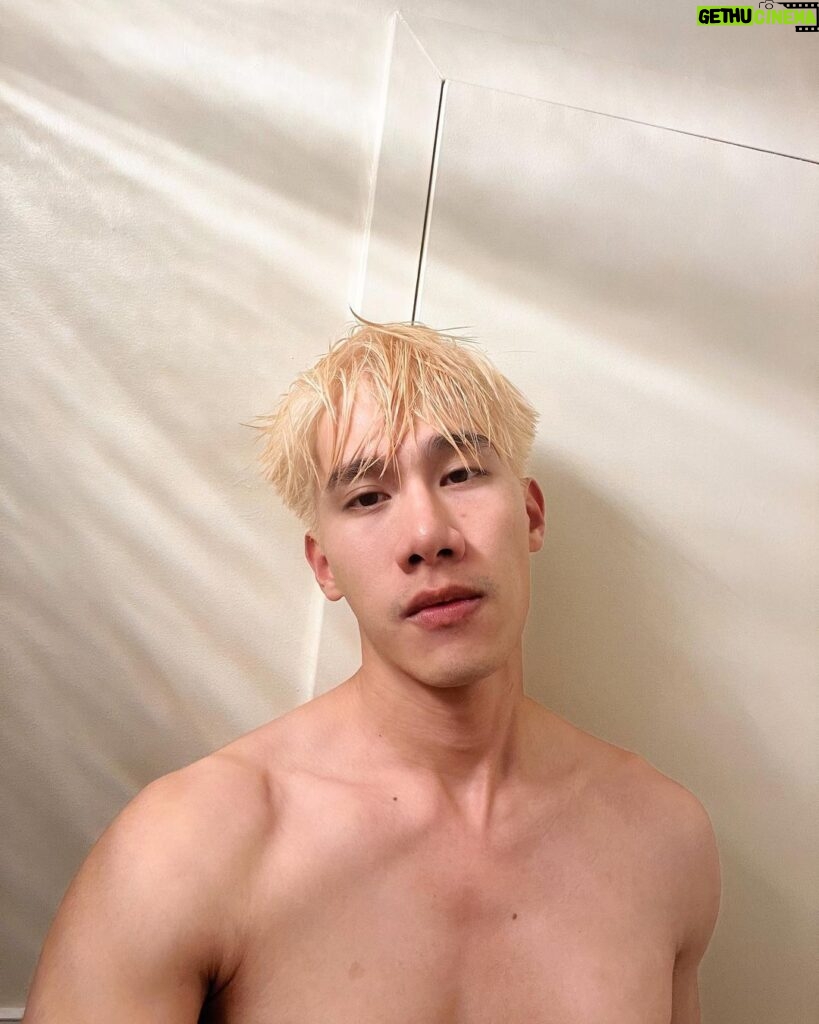 Pakorn Thanasrivanitchai Instagram - Tyler just wanted to say hi 🥵🤪 . . Shout out to @cherlyn.vk For this platinum blonde! New York, New York