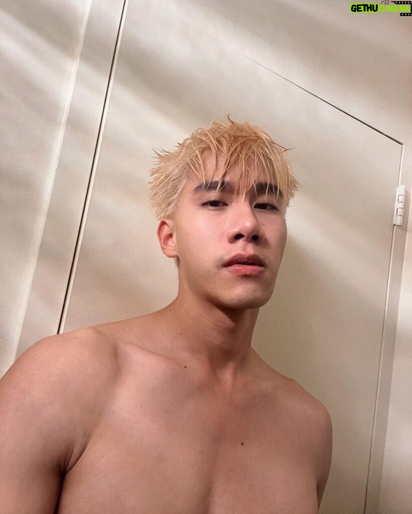 Pakorn Thanasrivanitchai Instagram - Tyler just wanted to say hi 🥵🤪 . . Shout out to @cherlyn.vk For this platinum blonde! New York, New York