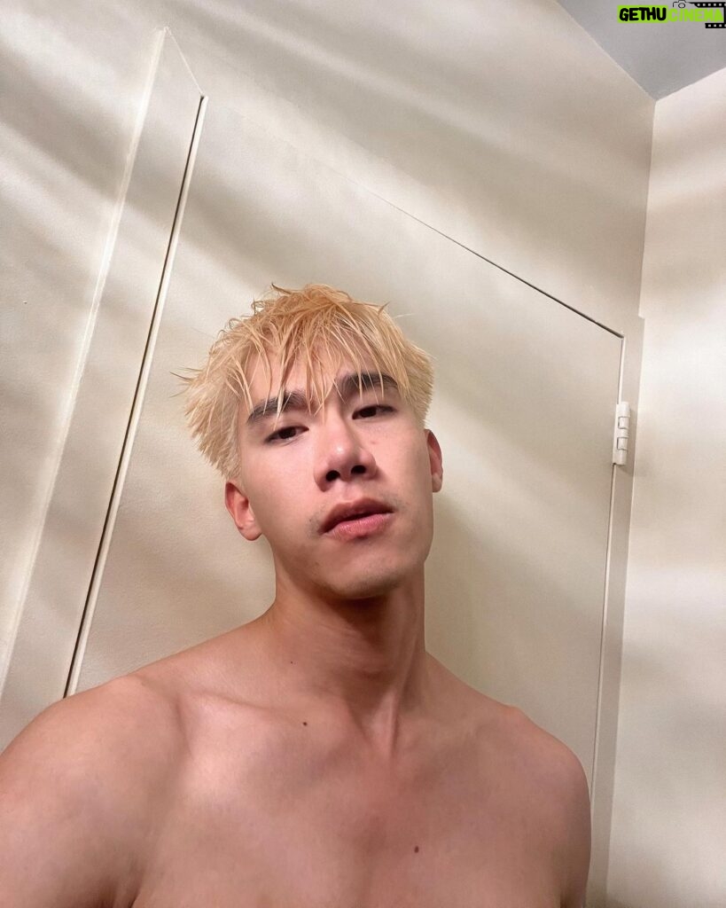 Pakorn Thanasrivanitchai Instagram - Tyler just wanted to say hi 🥵🤪 . . Shout out to @cherlyn.vk For this platinum blonde! New York, New York