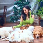 Palak Sindhwani Instagram - Your girl is thinking of adopting a furry baby, Should we?! 🥹🧚🏻‍♀️💗